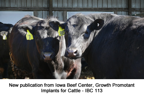 Iowa Beef Center | Iowa State University