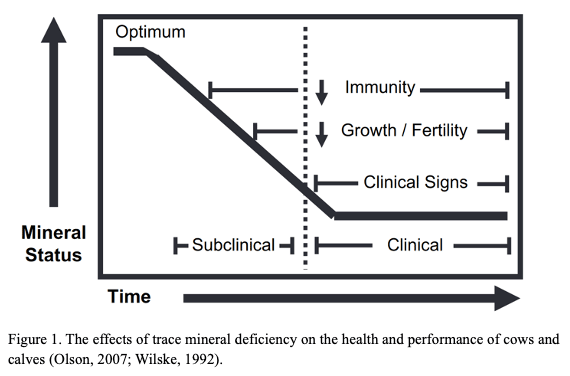 Figure 1. Effects of trace mineral deficiency on health and performance of cows and calves.