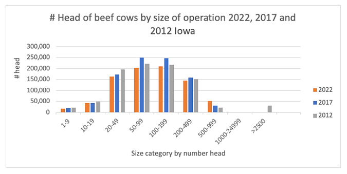 Number of head of beef cows by size of operation.