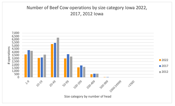 Number of head of beef oprations by size category.