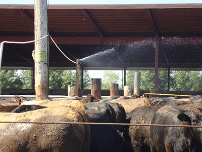 Cattle pen water sprayer.