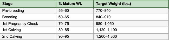 Target weight chart for heifer stage of development based on 1,400 pound mature cow.