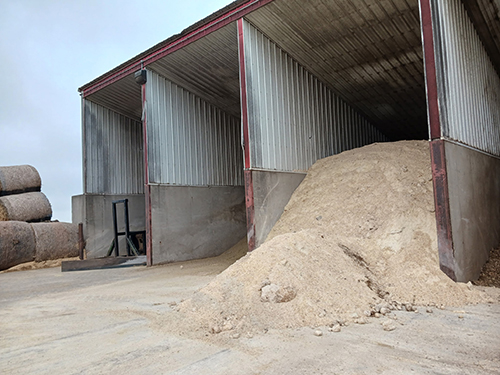 Packed pile of high moisture corn.