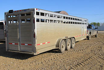 Livestock trailer used to haul cattle.