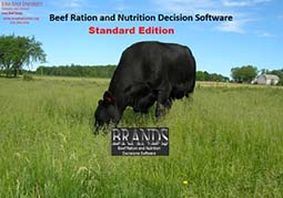 BRANDS software photo of cow grazing in pasture.
