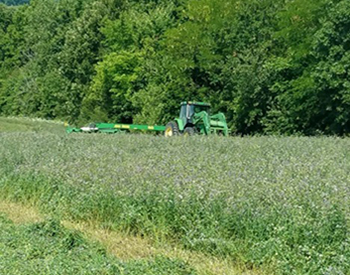 Cutting hay in pasture.