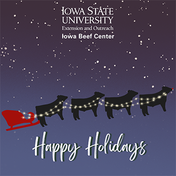 Stylized four black steers pulling red sleigh with Happy Holidays greeting from Iowa Beef Center.