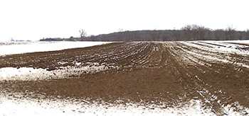 Manure on snow-covered ground in field.