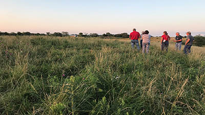 People attending pasture walk.