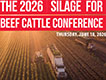 Silage Conference for Beef Cattle program graphic.