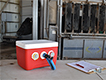 Data collection tools and equipment with steer in chute in the background.