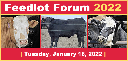 Feedlot Forum 2022 banner with date and three steer photos.