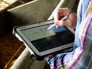 Person using an electronic spreadsheet on a mobile device.