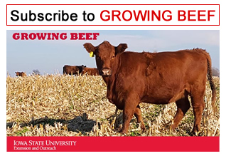 subscribe to Growing Beef