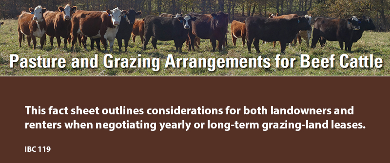 Pasture and Grazing Arrangements for Beef Cattle.