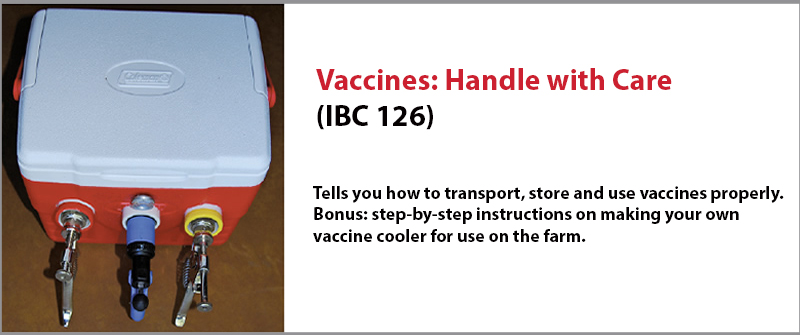 Vaccines.