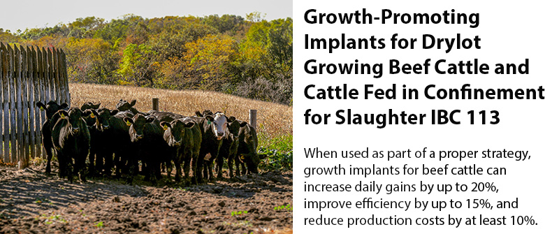 Growth-Promoting Implants for Drylot Growing Beef Cattle and Cattle Fed in Confinement for Slaughter IBC 113 publication.